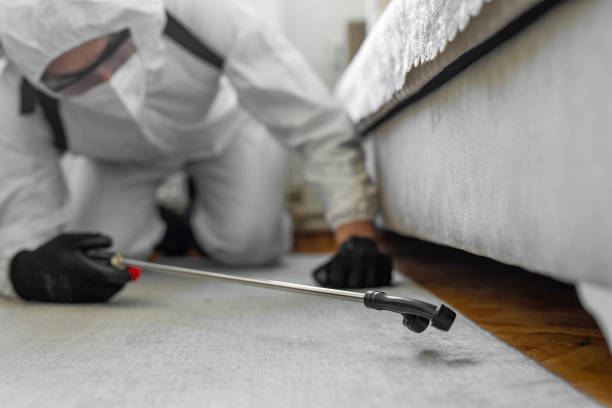 Professional Bed Bug Control technician working in Clatsop County County, OR